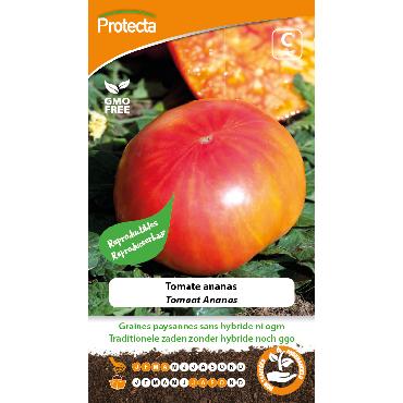 Protecta - Graines paysannes Tomate Ananas
