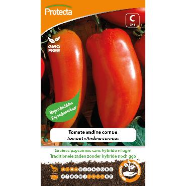 Protecta - Graines paysannes Tomate Andine Cornue
