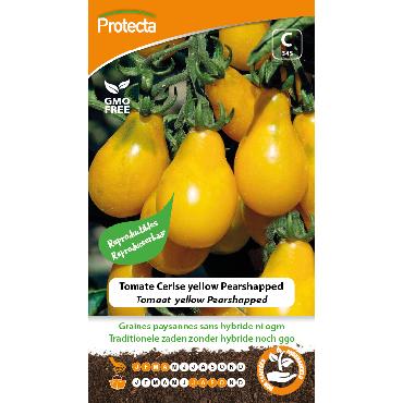 Protecta - Graines paysannes Tomate Cerise Yellow Pearshapped