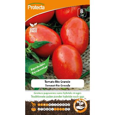 Protecta - Graines paysannes Tomate Rio Grande
