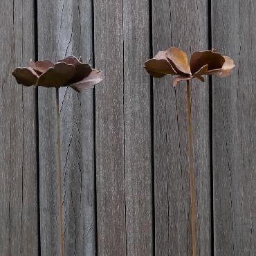 Fleur pavot à piquer en fer rouillé