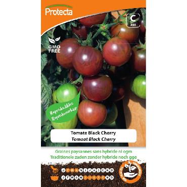 Protecta - Graines paysannes Tomate Black Cherry