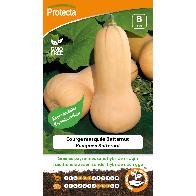 Protecta - Graines paysannes Courge Musquée Butternut